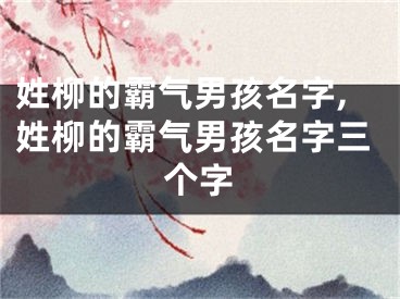 姓柳的霸气男孩名字,姓柳的霸气男孩名字三个字