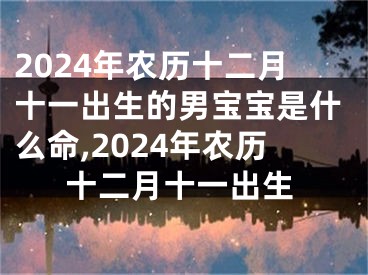 2024年农历十二月十一出生的男宝宝是什么命,2024年农历十二月十一出生
