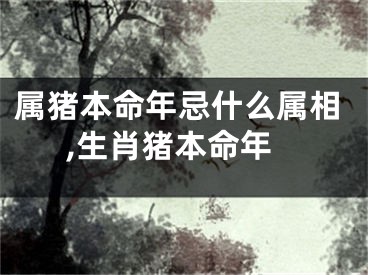 属猪本命年忌什么属相,生肖猪本命年