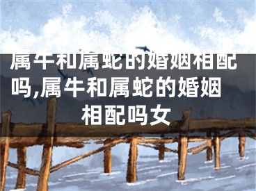 属牛和属蛇的婚姻相配吗,属牛和属蛇的婚姻相配吗女