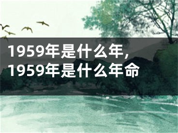 1959年是什么年,1959年是什么年命