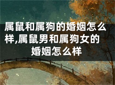 属鼠和属狗的婚姻怎么样,属鼠男和属狗女的婚姻怎么样