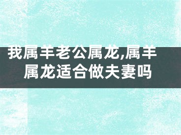 我属羊老公属龙,属羊属龙适合做夫妻吗