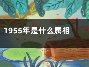 1955年是什么属相
