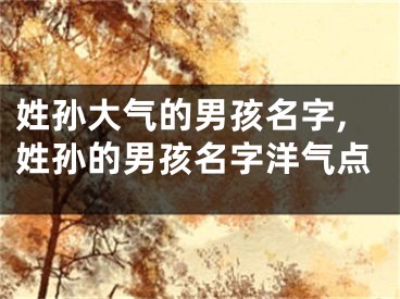 姓孙大气的男孩名字,姓孙的男孩名字洋气点