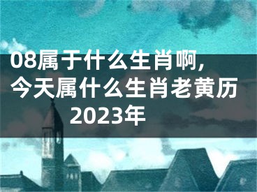 08属于什么生肖啊,今天属什么生肖老黄历2023年