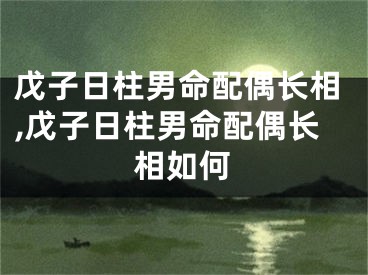 戊子日柱男命配偶长相,戊子日柱男命配偶长相如何