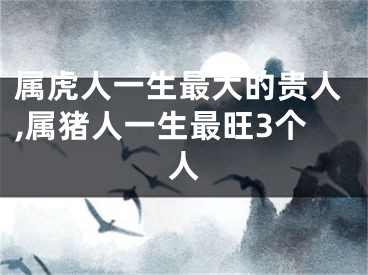 属虎人一生最大的贵人,属猪人一生最旺3个人