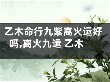 乙木命行九紫离火运好吗,离火九运 乙木