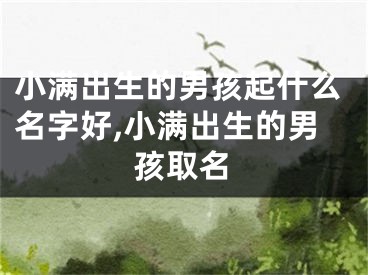 小满出生的男孩起什么名字好,小满出生的男孩取名