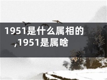 1951是什么属相的,1951是属啥
