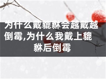 为什么戴貔貅会越戴越倒霉,为什么我戴上貔貅后倒霉