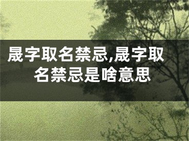 晟字取名禁忌,晟字取名禁忌是啥意思