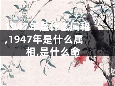 1947年是什么属相,1947年是什么属相,是什么命