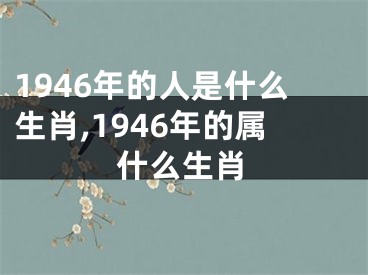 1946年的人是什么生肖,1946年的属什么生肖