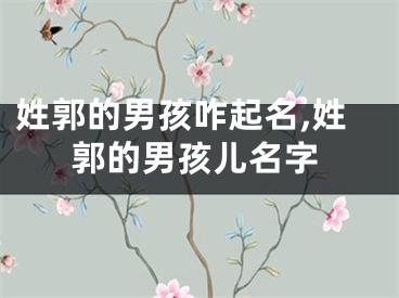 姓郭的男孩咋起名,姓郭的男孩儿名字