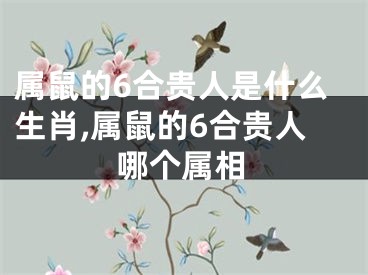 属鼠的6合贵人是什么生肖,属鼠的6合贵人哪个属相