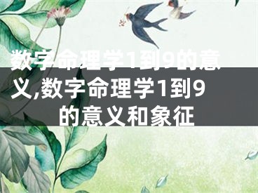 数字命理学1到9的意义,数字命理学1到9的意义和象征