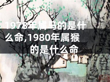 1978年属马的是什么命,1980年属猴的是什么命