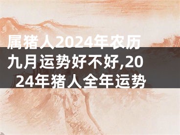 属猪人2024年农历九月运势好不好,2024年猪人全年运势