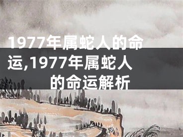 1977年属蛇人的命运,1977年属蛇人的命运解析