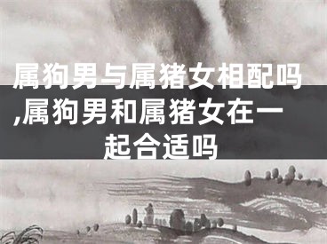 属狗男与属猪女相配吗,属狗男和属猪女在一起合适吗