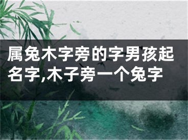 属兔木字旁的字男孩起名字,木子旁一个兔字