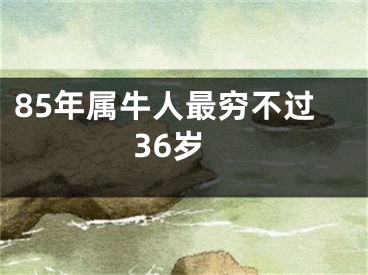 85年属牛人最穷不过36岁