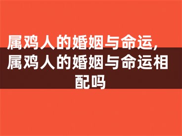 属鸡人的婚姻与命运,属鸡人的婚姻与命运相配吗