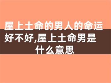 屋上土命的男人的命运好不好,屋上土命男是什么意思