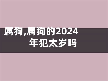 属狗,属狗的2024年犯太岁吗