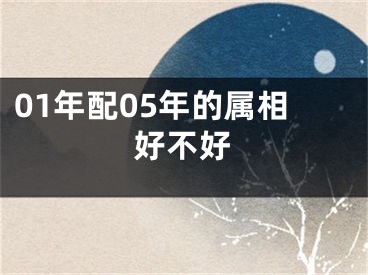 01年配05年的属相好不好
