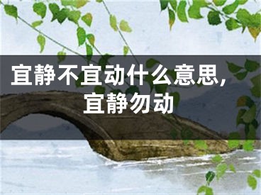 宜静不宜动什么意思,宜静勿动