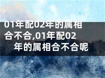 01年配02年的属相合不合,01年配02年的属相合不合呢