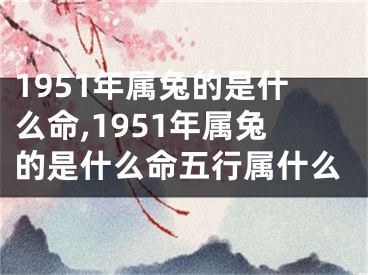 1951年属兔的是什么命,1951年属兔的是什么命五行属什么