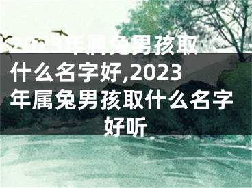 2023年属兔男孩取什么名字好,2023年属兔男孩取什么名字好听