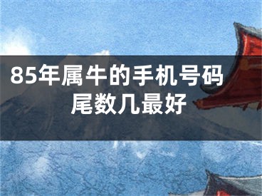 85年属牛的手机号码尾数几最好