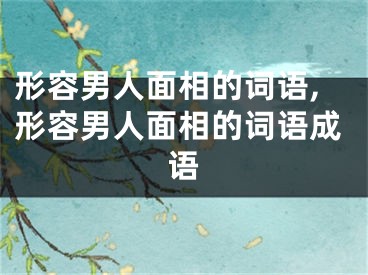 形容男人面相的词语,形容男人面相的词语成语