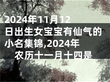 2024年11月12日出生女宝宝有仙气的小名集锦,2024年农历十一月十四是