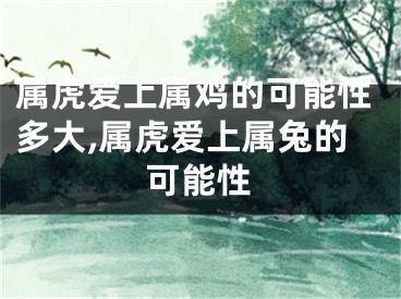 属虎爱上属鸡的可能性多大,属虎爱上属兔的可能性