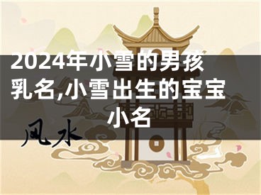 2024年小雪的男孩乳名,小雪出生的宝宝小名