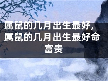 属鼠的几月出生最好,属鼠的几月出生最好命富贵