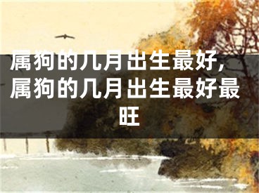 属狗的几月出生最好,属狗的几月出生最好最旺
