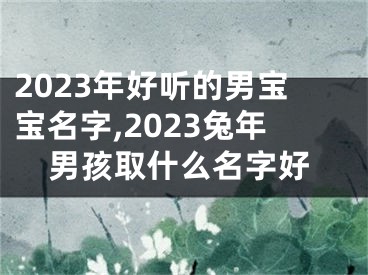 2023年好听的男宝宝名字,2023兔年男孩取什么名字好