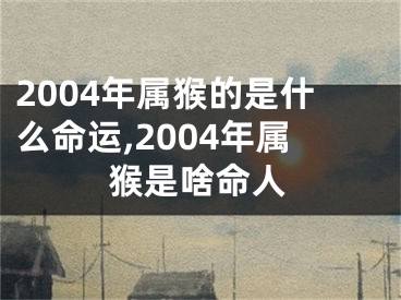 2004年属猴的是什么命运,2004年属猴是啥命人