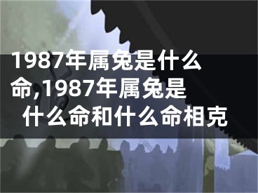 1987年属兔是什么命,1987年属兔是什么命和什么命相克