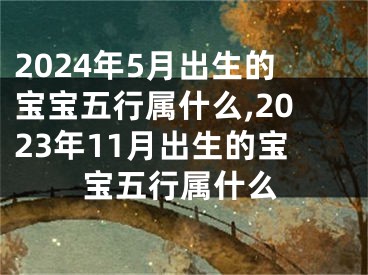 2024年5月出生的宝宝五行属什么,2023年11月出生的宝宝五行属什么
