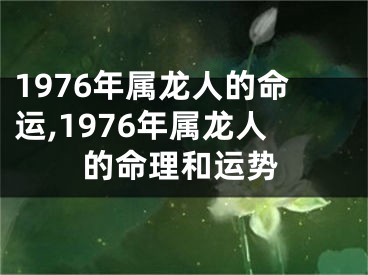 1976年属龙人的命运,1976年属龙人的命理和运势
