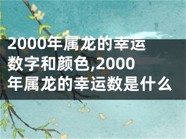 2000年属龙的幸运数字和颜色,2000年属龙的幸运数是什么