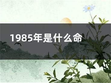 1985年是什么命